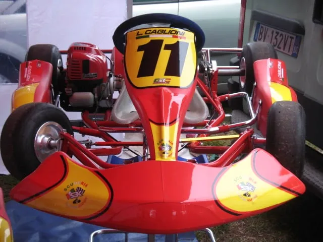 Leonardo Caglioni - 2010 - Karting - Karting, Racing, Minikart, Easykart 50, Delfino Kart, Inizi Karting - foto 14