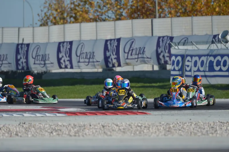 Leonardo Caglioni - 2015 - Karting - Karting, Minikart, WSK, Campionato Italiano Karting, Rok - foto 5