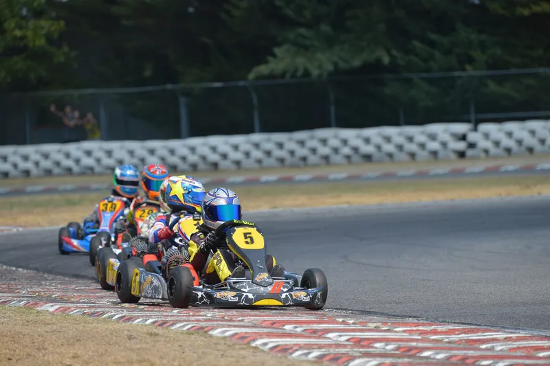 Leonardo Caglioni - 2015 - Karting - Karting, Minikart, WSK, Campionato Italiano Karting, Rok - foto 15