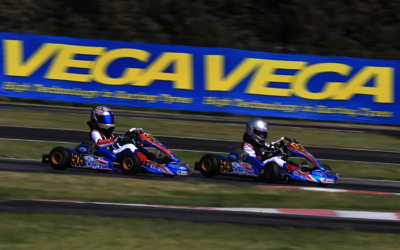 Leonardo Caglioni - 2016 - Karting - Karting, Minikart, WSK, Campionato Italiano Karting, Rok - foto 8